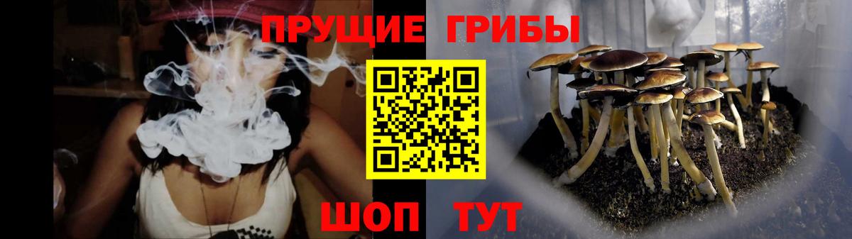Обнинск  Галлюциногенные грибы GOLDEN TEACHER  Вход с VPN 